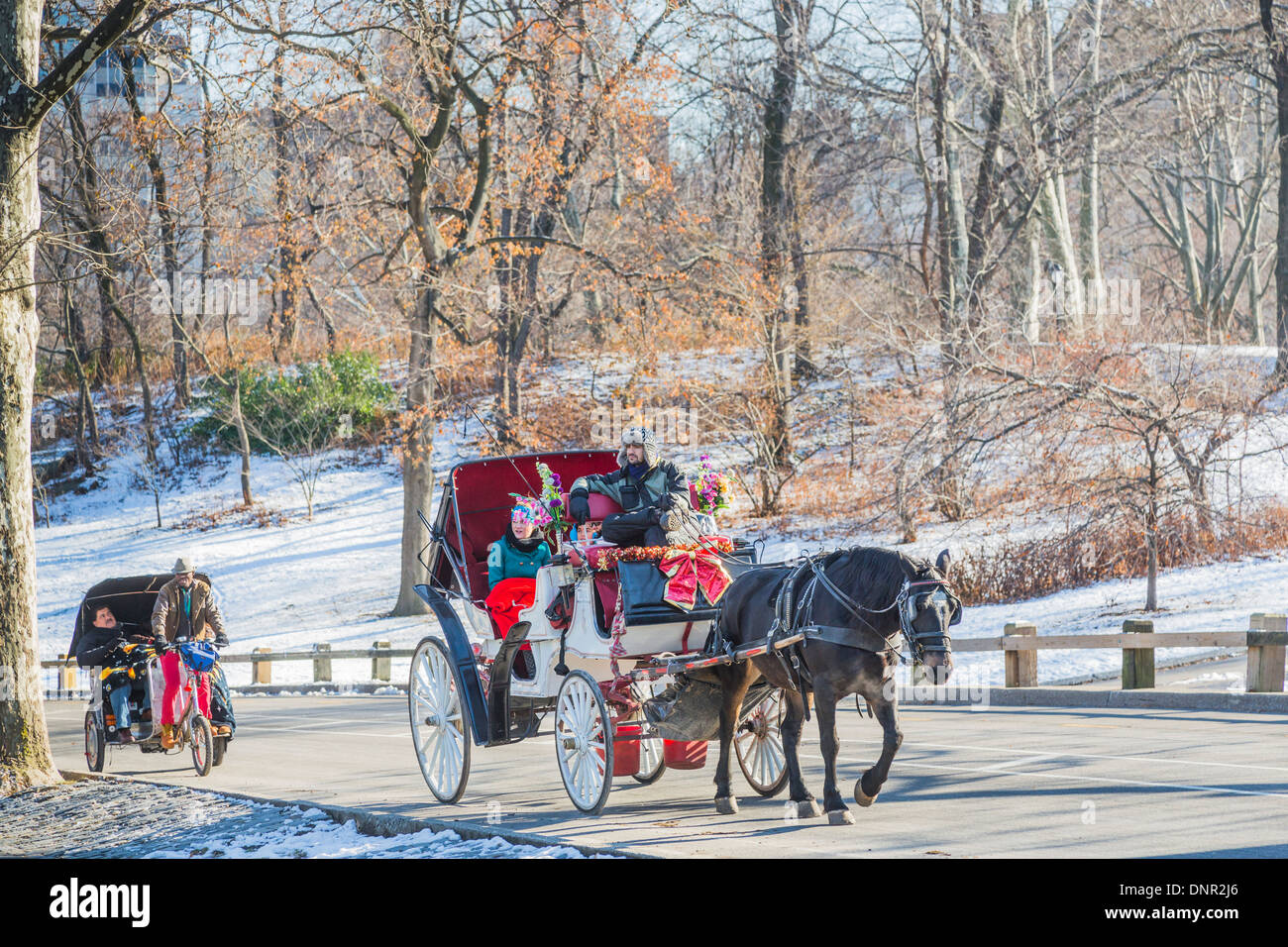 Tourists enjoy horse and carriage and cycle taxi rides in the snow in