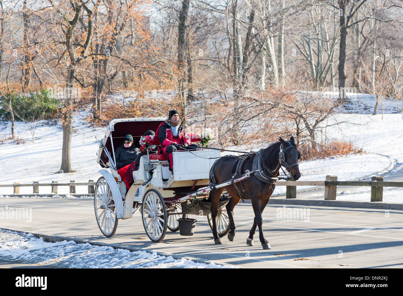 Tourists enjoy a traditional horse and carriage ride in the snow in winter in Central Park, Manhattan, New York, USA Stock Photo
