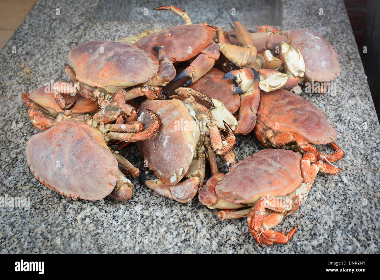 A pile of freshly boiled crabs on the beach in Brighton Stock Photo