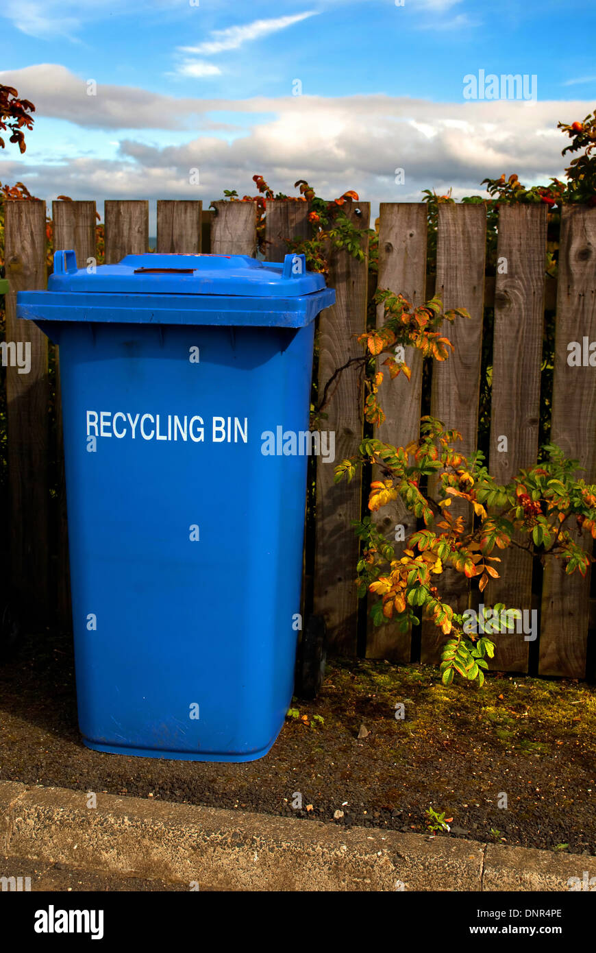 Blue recycling bin / Dustbin Stock Photo Alamy