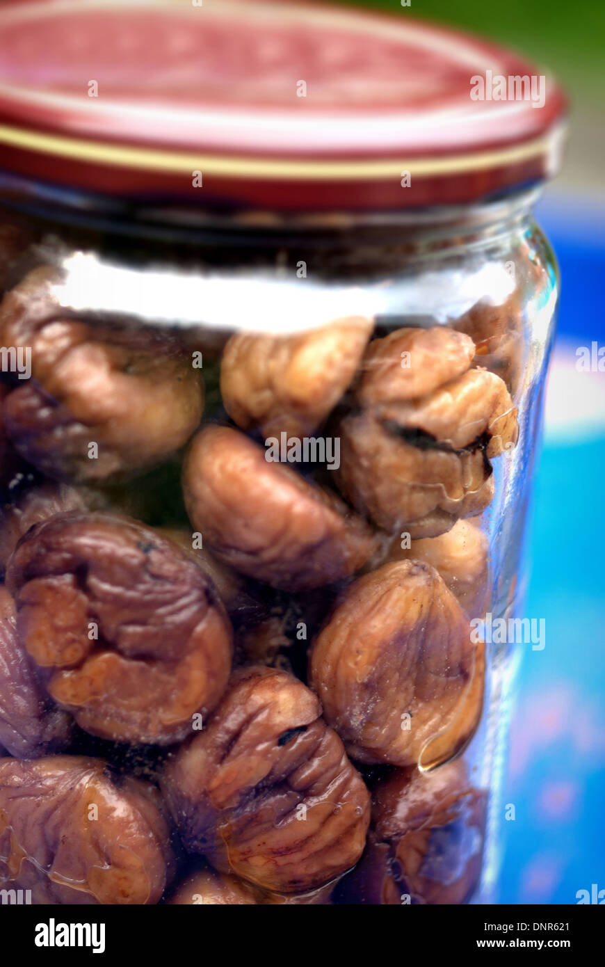 Jar of pickled walnuts / Preserved walnuts Stock Photo Alamy