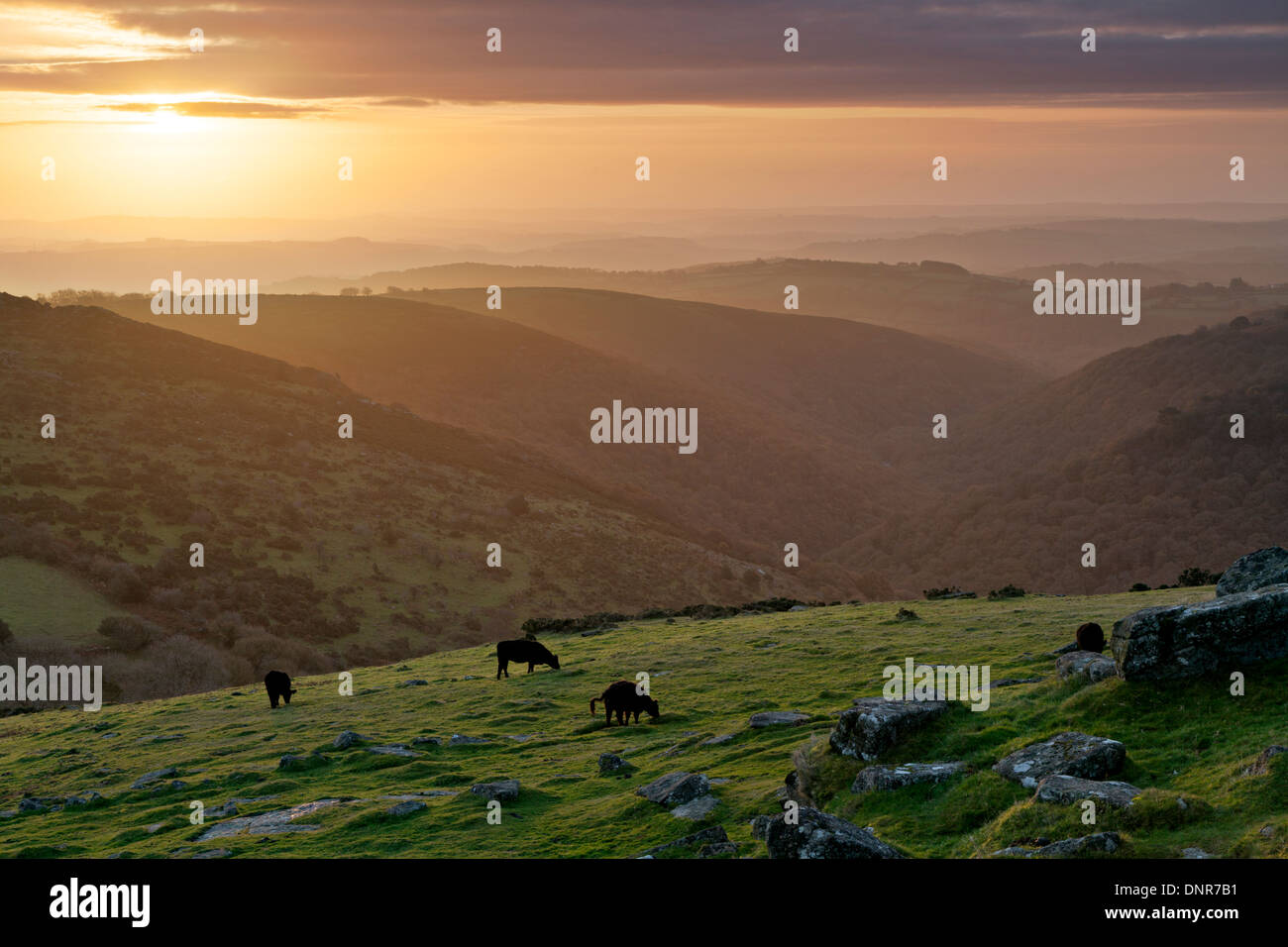 View over the Dart valley in the Dartmoor national park at sunrise, taken from Sharp Tor Stock Photo