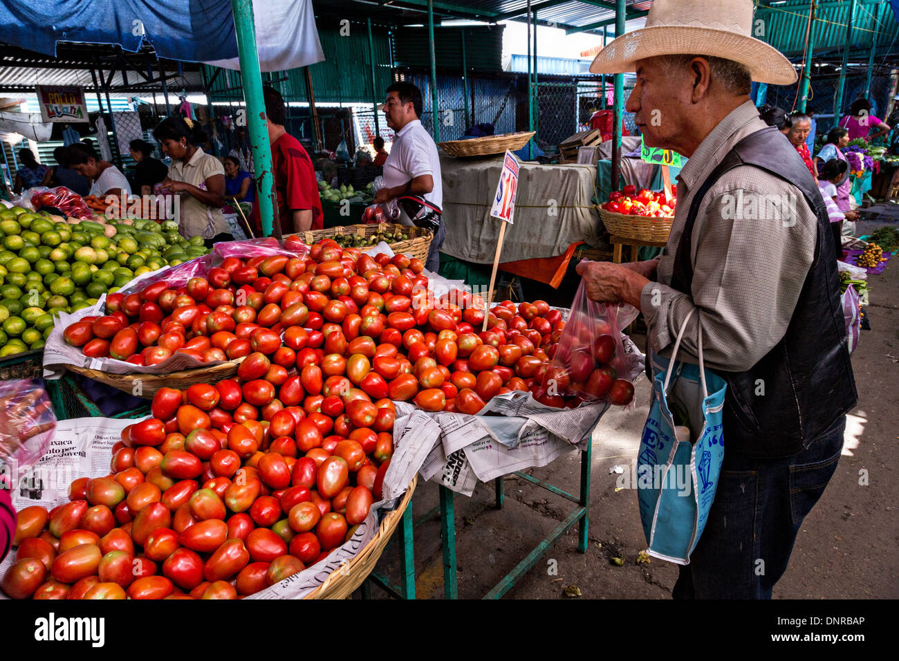 A Mexican man buys fresh tomatos at Benito Juarez market in Oaxaca, Mexico. Stock Photo
