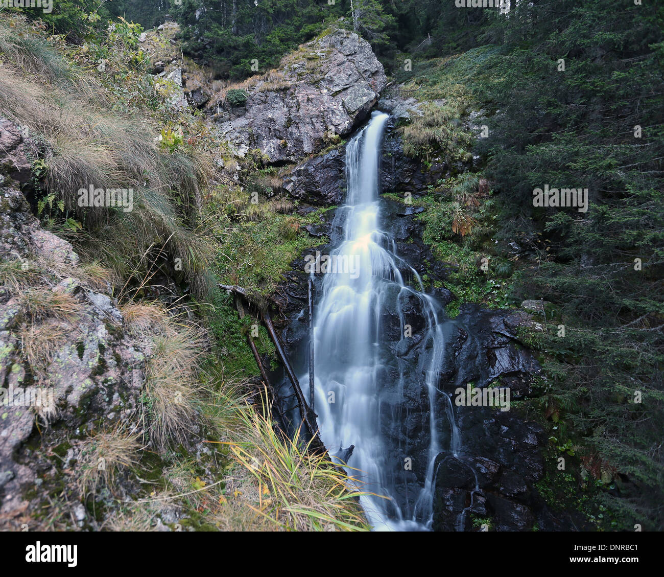 Waterfall in the Lagorai mountain massif. Trentino. Italian Alps. Stock Photo