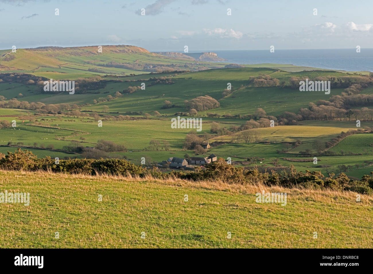 Countryside Views Of Tyneham And Surrounding Areas Including The