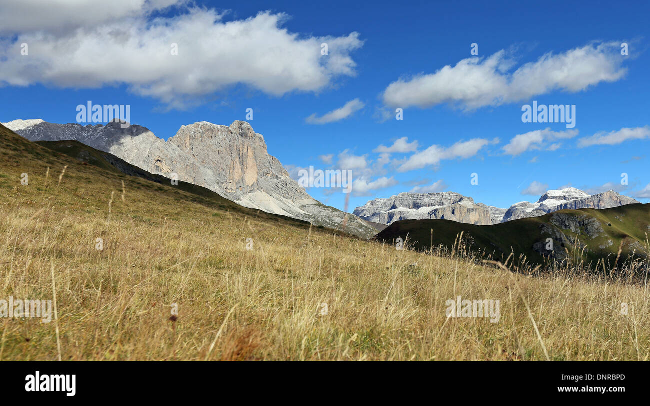 Mountain meadow of Catinaccio mountain. View on the peaks of Sassolungo, Sassopiatto, Sella mountains. The Dolomites. Italian Alps. Europe. Stock Photo