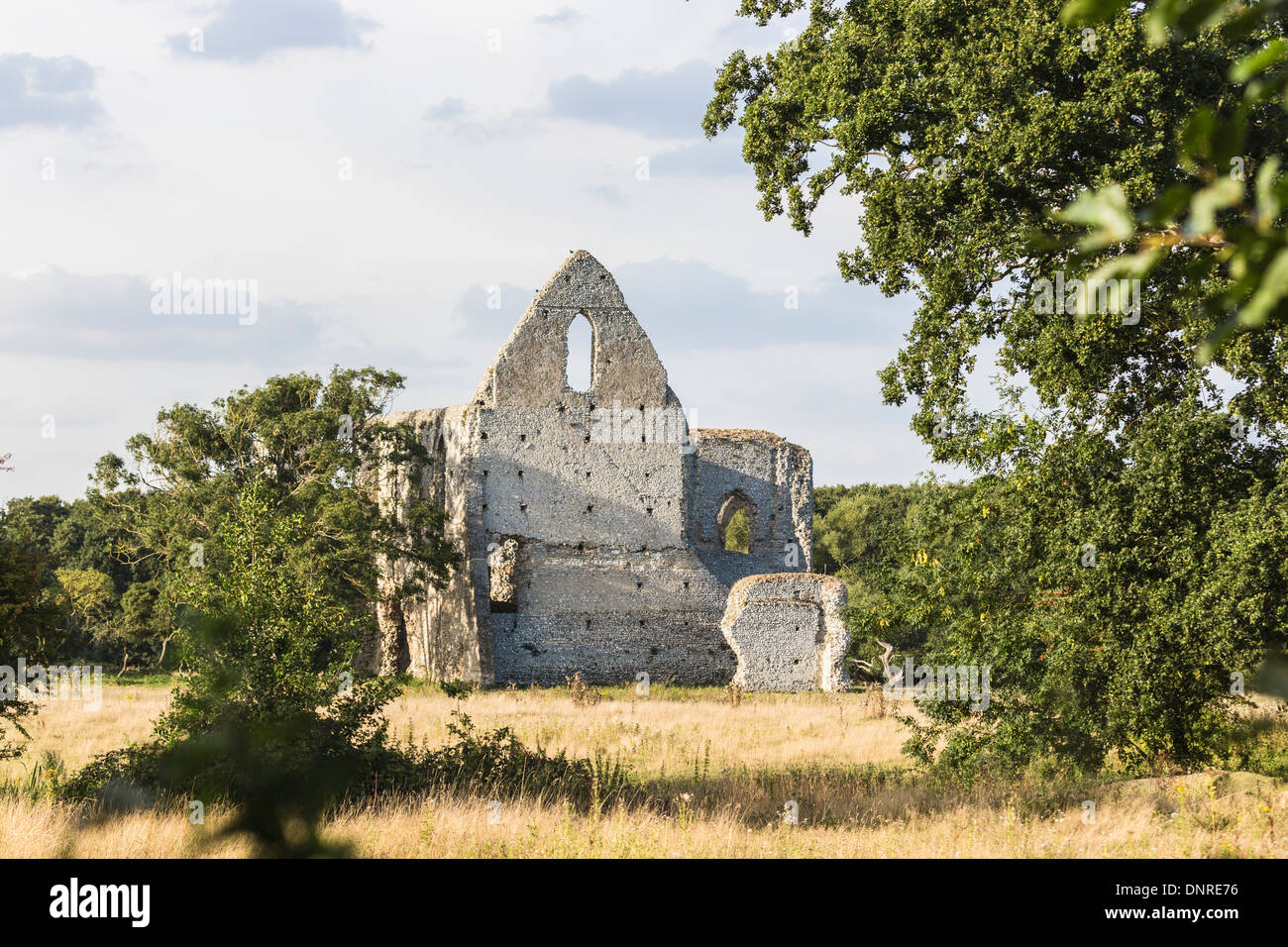 Ruins of Newark Priory, Pyrford, Surrey, UK - an abbey subjected to the Dissolution of the Monasteries by King Henry VIII Stock Photo