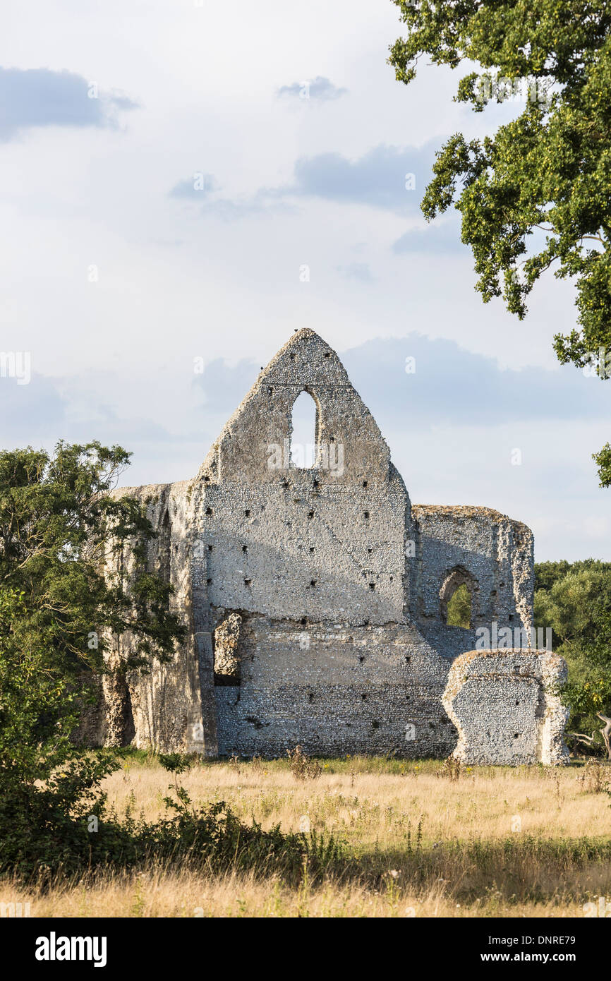 Ruins of Newark Priory, Pyrford, Surrey, UK - an abbey subjected to the Dissolution of the Monasteries by King Henry VIII Stock Photo
