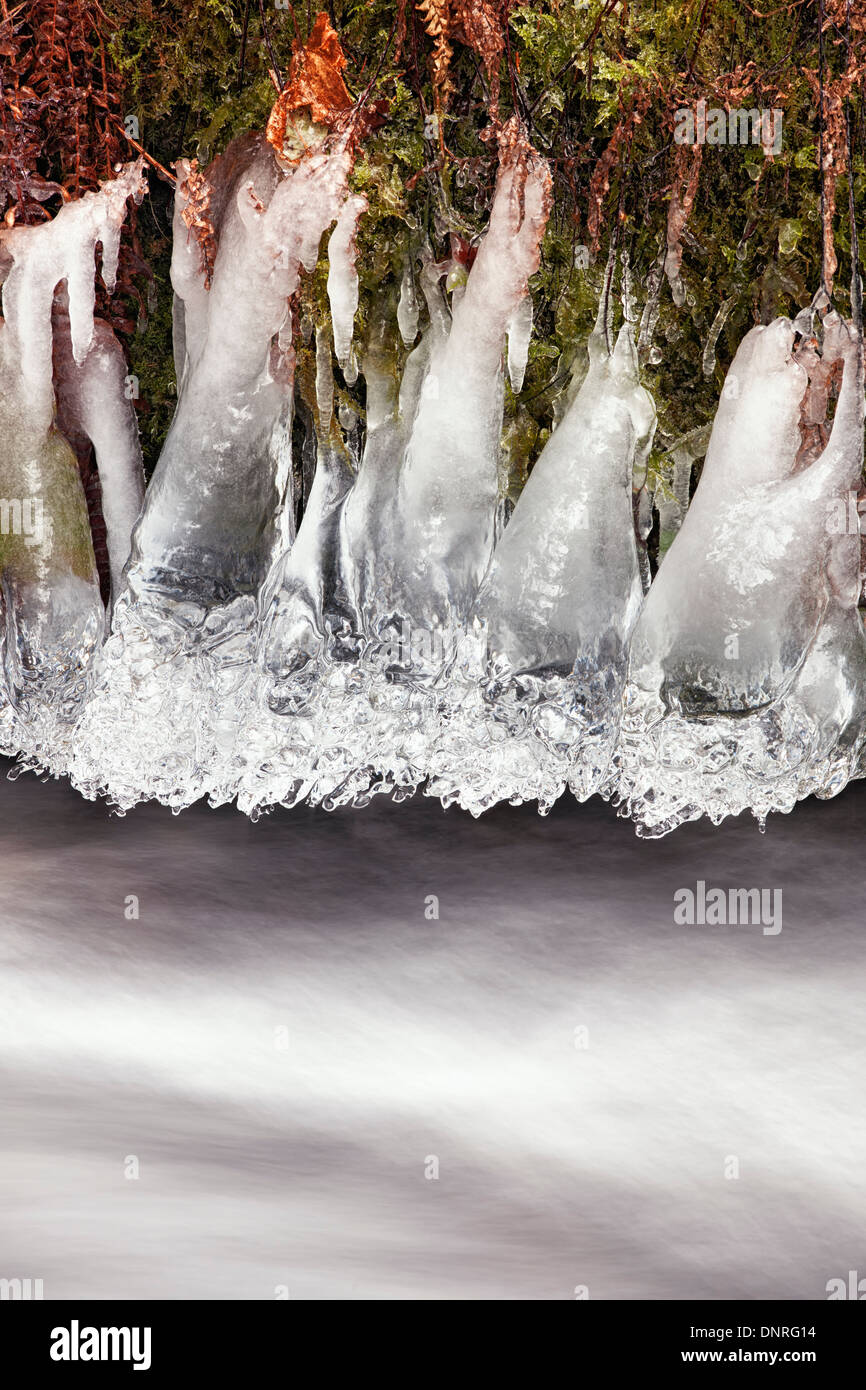 Frigid conditions create these unique shaped icicles hanging over Wahkeena Creek in Oregon's Columbia River Gorge. Stock Photo