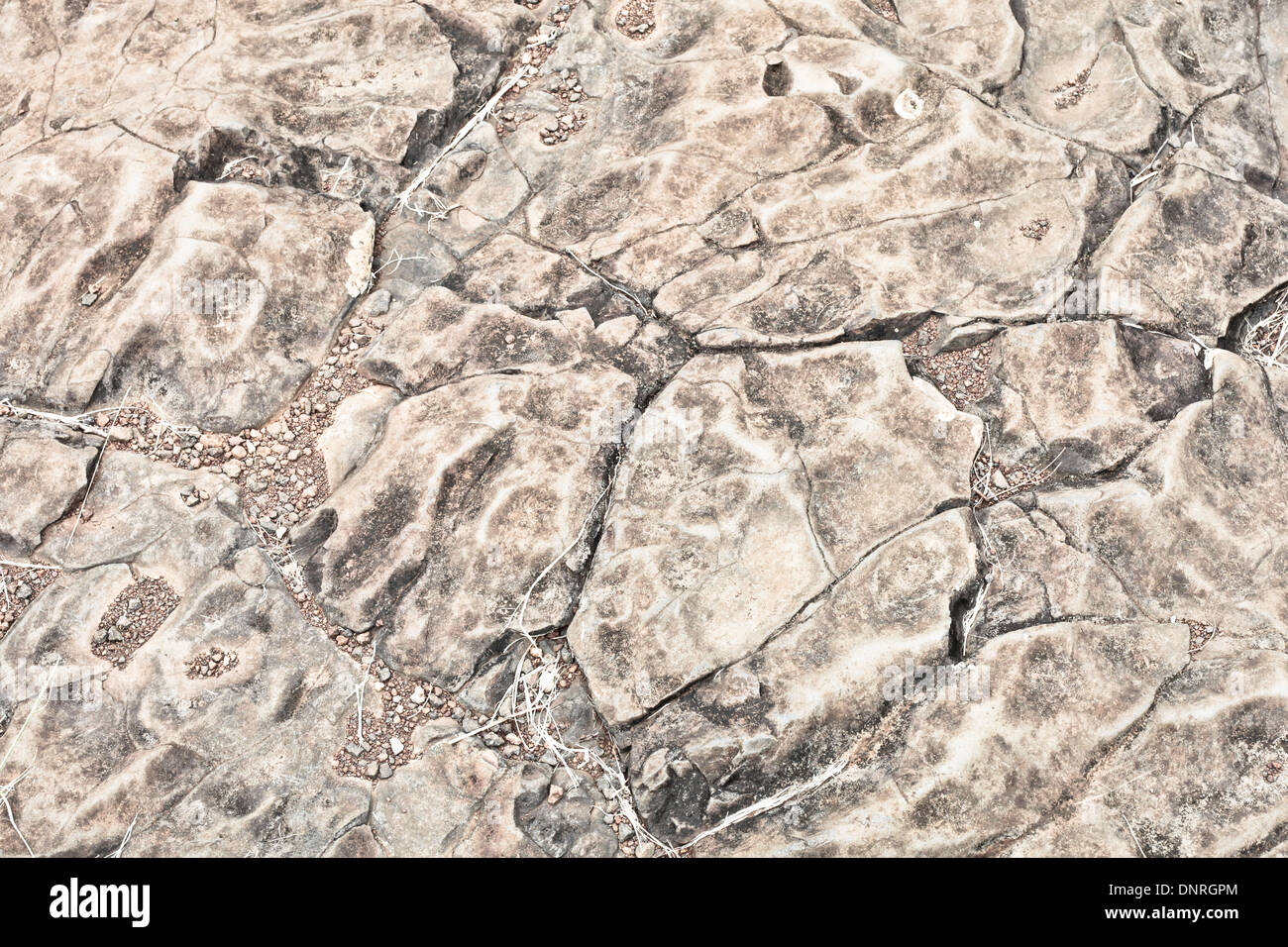 Detailed pattern on a rock surface as a background Stock Photo