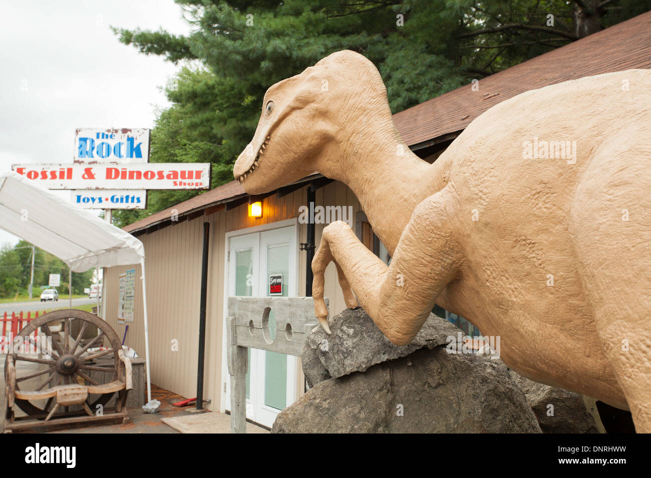 Dinosaur shop hires stock photography and images Alamy