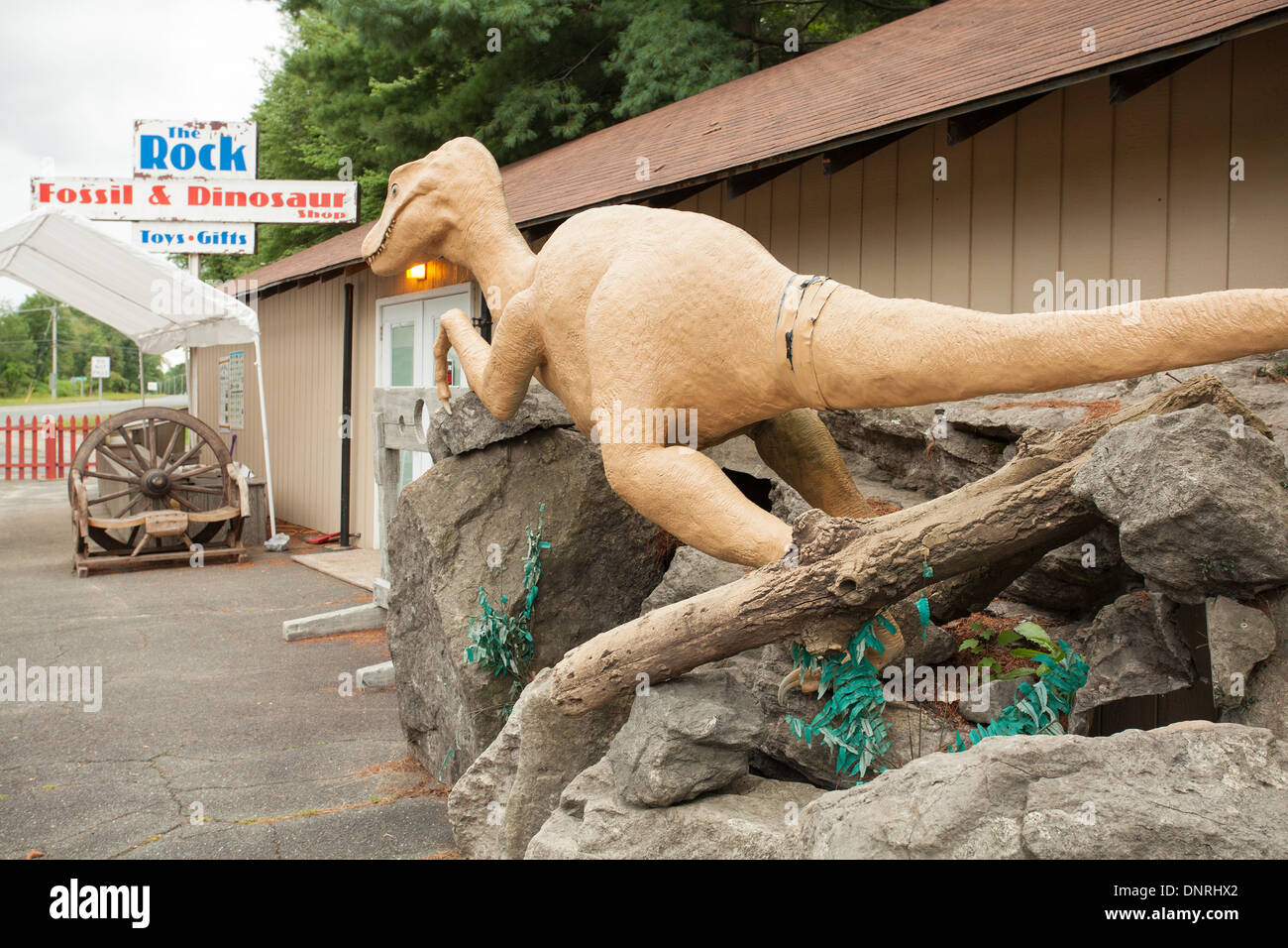 Deerfield Massachusetts roadside fossil and dinosaur shop features a giant model dinosaur to lure in customers Stock Photo Alamy