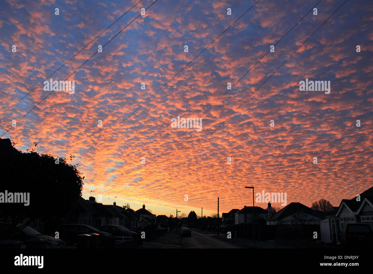 Epsom, Surrey, UK. 5th January 2014. Red sky in the morning - shepherds warning! Could the old English saying be a sign of the weather to come? Spectacular altocumulus mackerel cloud formations at sunrise over Surrey. Credit:  Julia Gavin/Alamy Live News Stock Photo