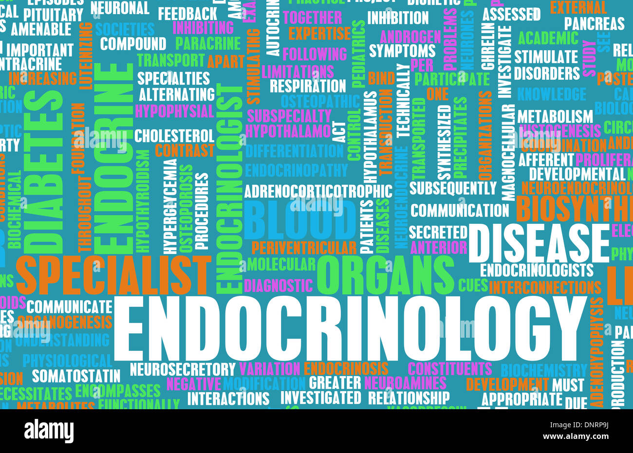 Endocrinology or Endocrine System as a Concept Stock Photo - Alamy