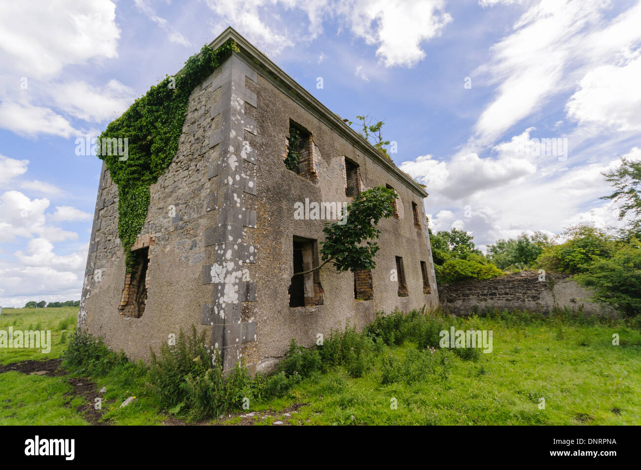 Old abandonded traditional Irish farm house in a field. Stock Photo