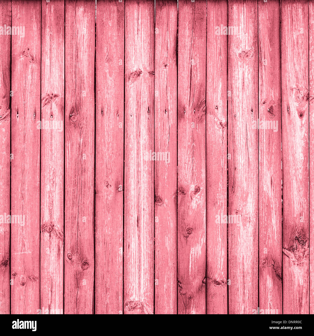 The Pink Grunge Wood Texture With Natural Patterns. Surface Of Old Wood Paint Over. Stock Photo