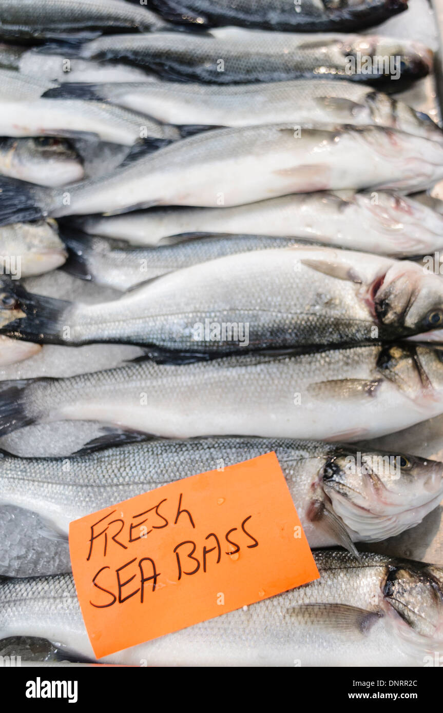 Fresh sea bass for sale at a fishmonger Stock Photo Alamy