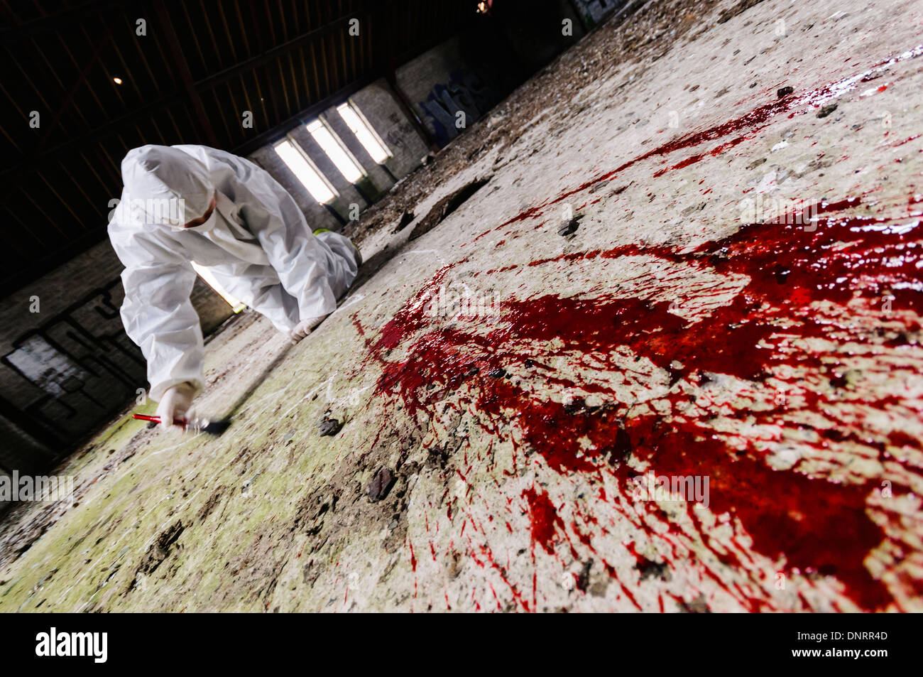 Scene of Crime Officer (SOCO) examines an area around some blood on a floor [posed by model] Stock Photo