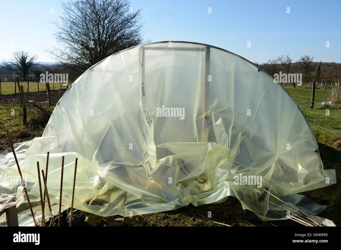 New plastic sheet being fitted to a polytunnel frame Stock Photo Alamy