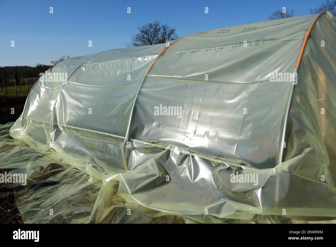 New plastic sheet being fitted to a polytunnel frame Stock Photo Alamy