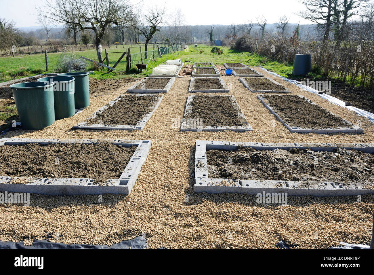 Raised beds being built in the garden from breeze blocks for growing