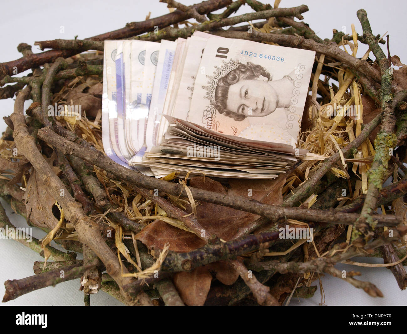 Nest egg concept, GBP money in a nest Stock Photo