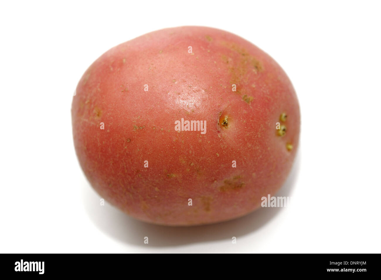 Red potato Stock Photo