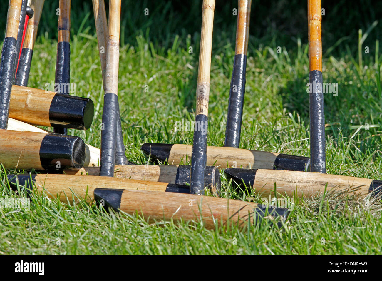 Polo mallet hires stock photography and images Alamy