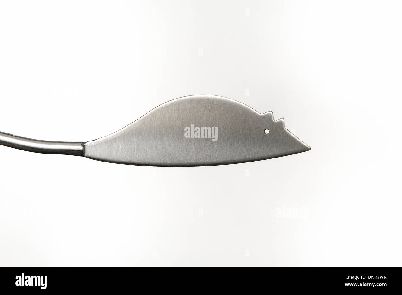 stainless steel mouse cheese knife Stock Photo Alamy