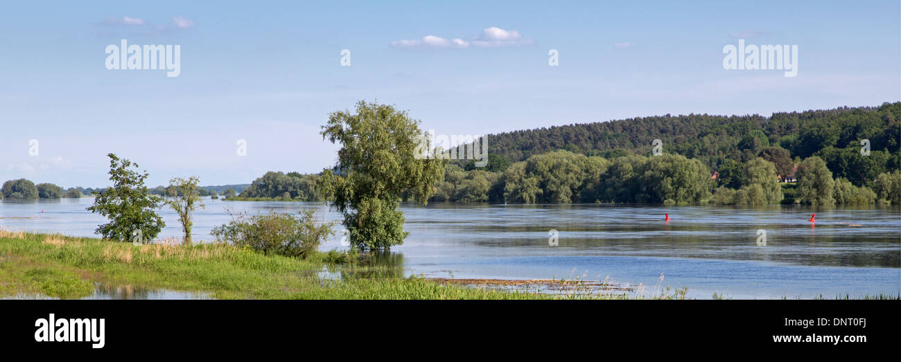 High water Elbe near Dömitz, 2013, Germany, Europe Stock Photo
