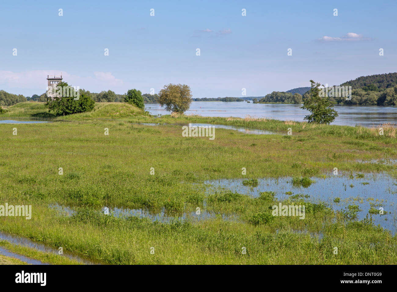 High water Elbe near Dömitz, 2013, Germany, Europe Stock Photo