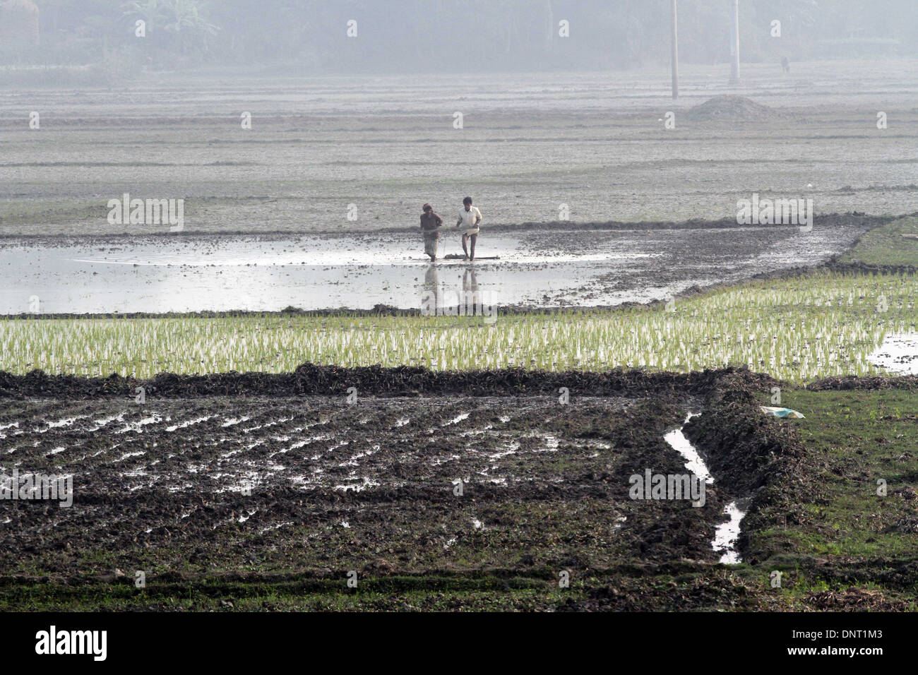Scene in sylhet bangladesh hires stock photography and images Alamy