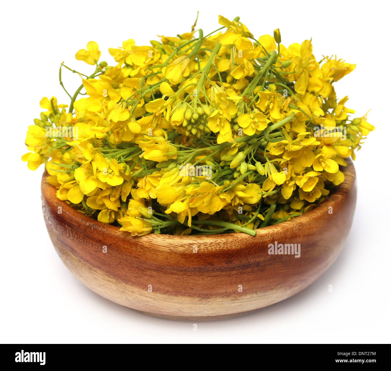 Closeup of mustard flower on wooden bowl Stock Photo
