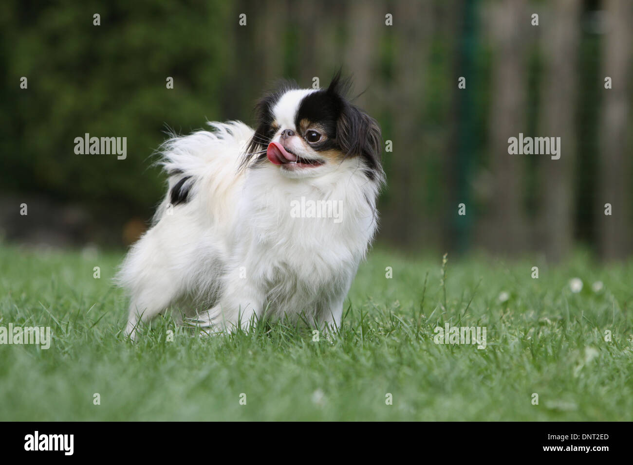 Images of legal teen models