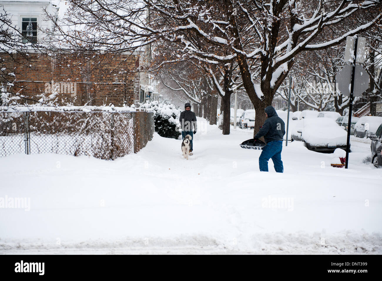 Chicago, Il, USA. 5th Jan, 2013. Following a mild Saturday, heavy snowfall and rapidly dropping temperatures return in Chicago on January 5, 2014. Credit: Max Herman / Alamy Live News Stock Photo