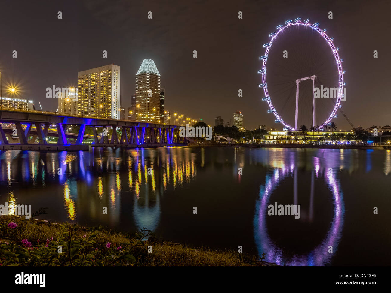 Night View of Singapore Flyer, Singapore Stock Photo