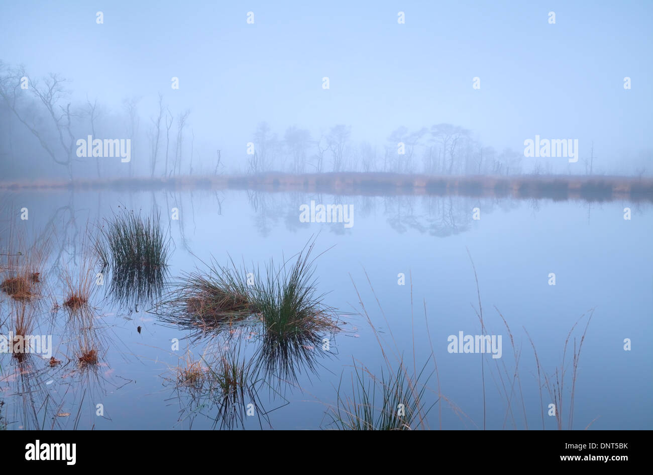 Fog covered lake hi-res stock photography and images - Alamy