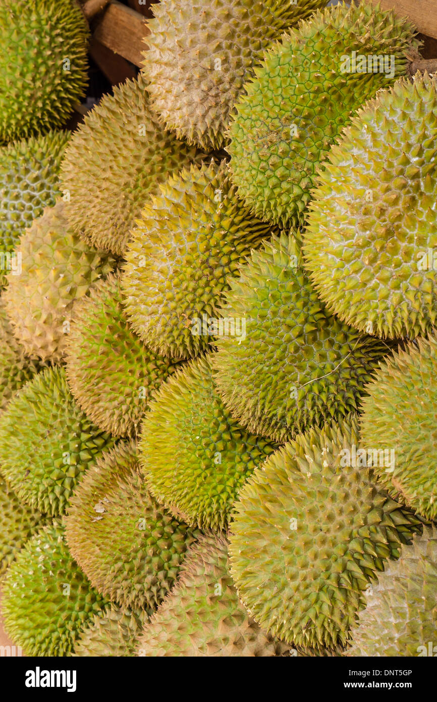 Large Amounts of Durian Fruit Stock Photo