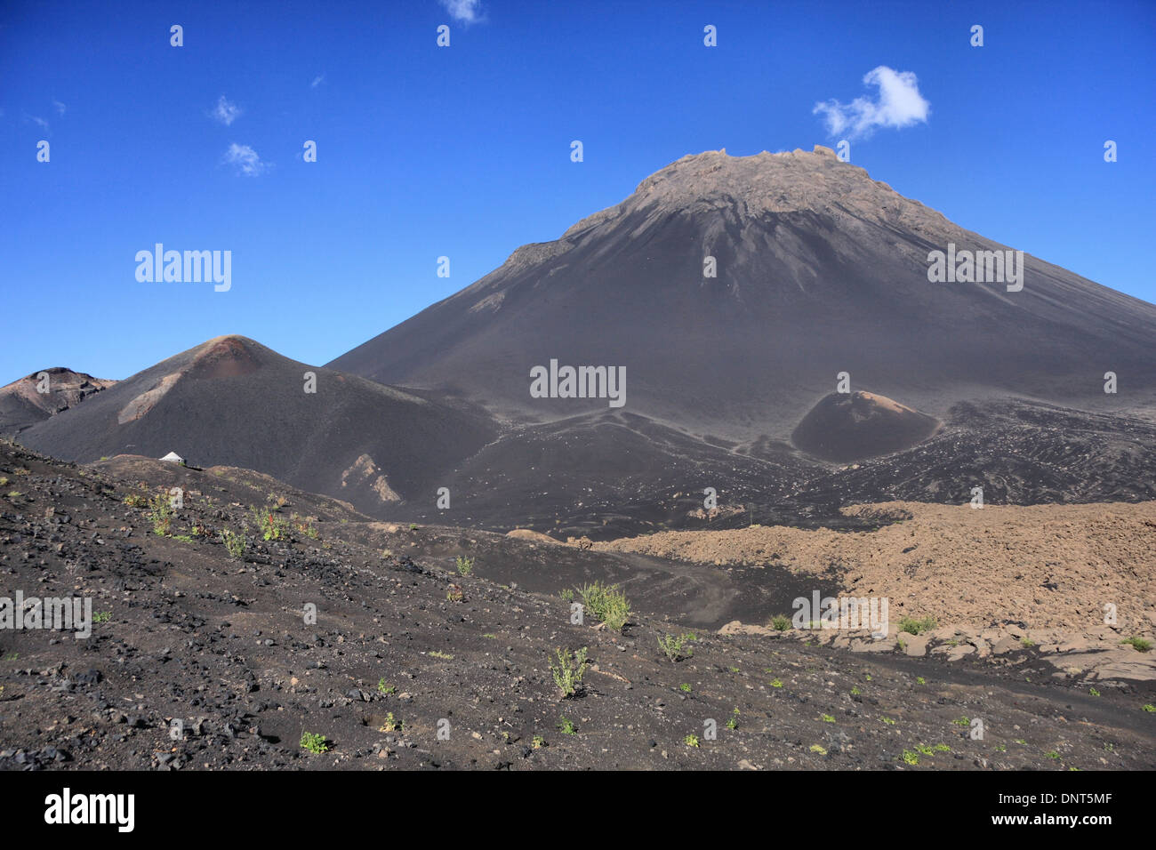 Lava field in Cha das Caldeiras (crater) showing the 1995 eruption and ...