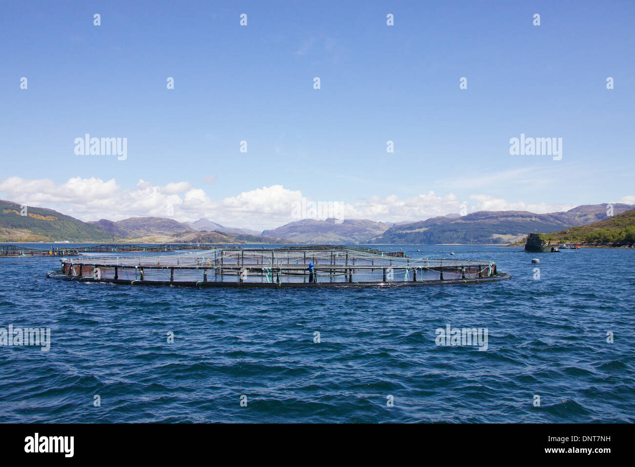 Salmon Fishing, Loch Alsh, North West Highlands, Scotland. Stock Photo