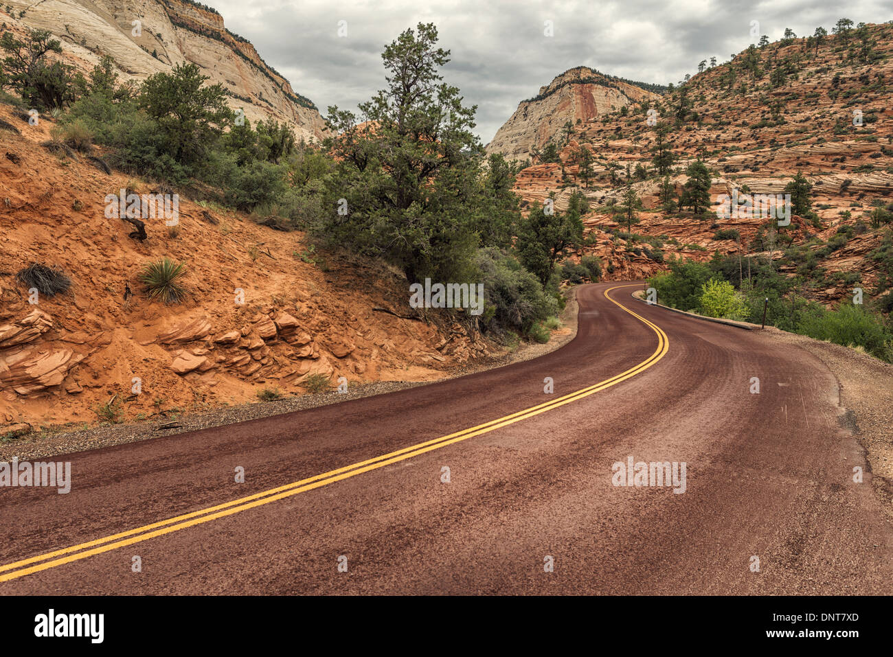 The Zion Scenic Drive ,Zion National Park,Utah,USA Stock Photo