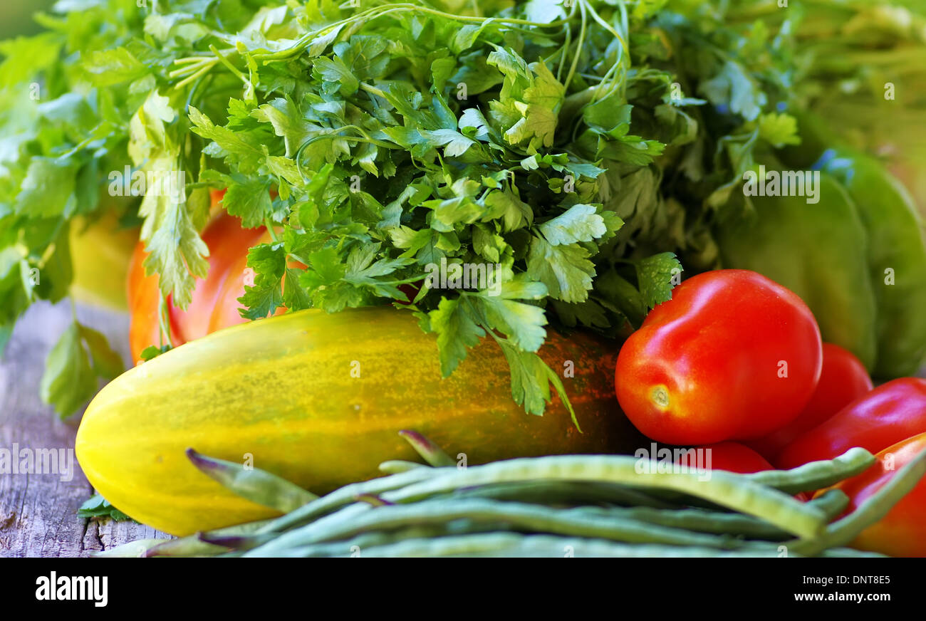 Tomatoes, cucumber and cilantro herb Stock Photo