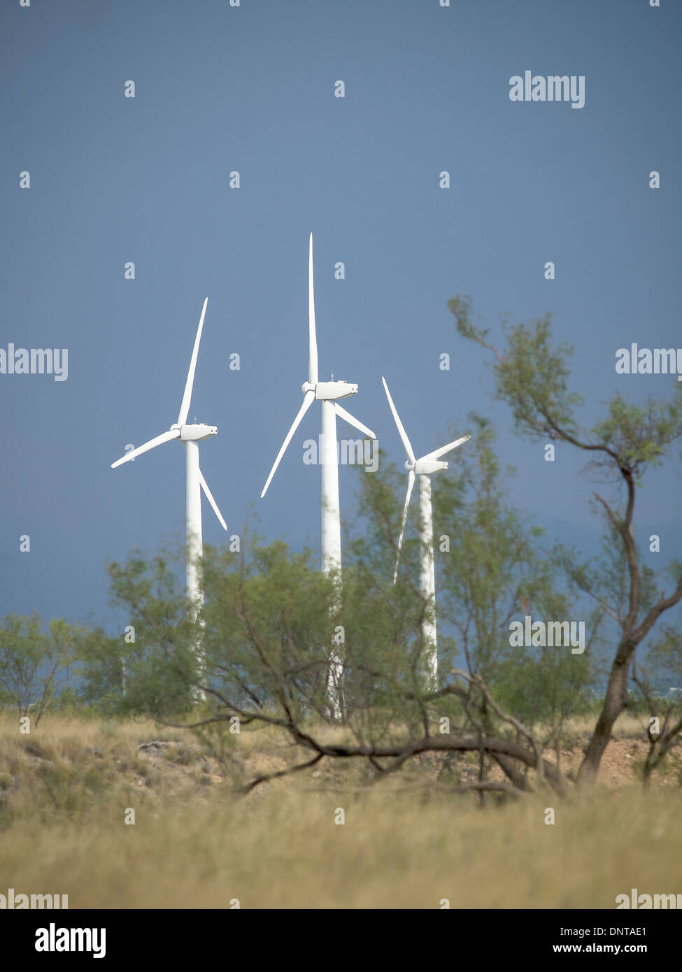 Sage brush and wind turbines fill the prairie in west Texas near Sweetwater, Texas, the wind