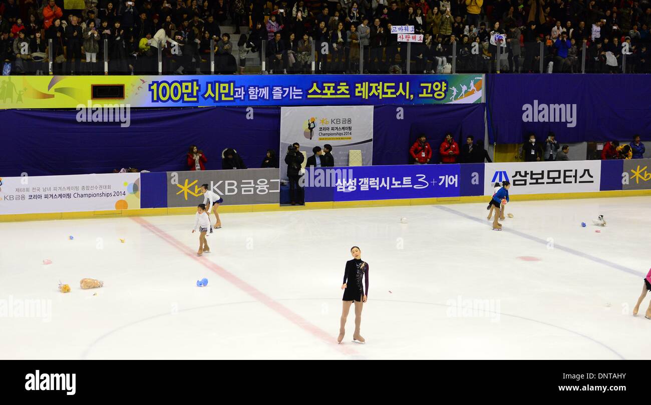 Seoul, South Korea, South Korea. 5th Jan, 2014. South Korean figure