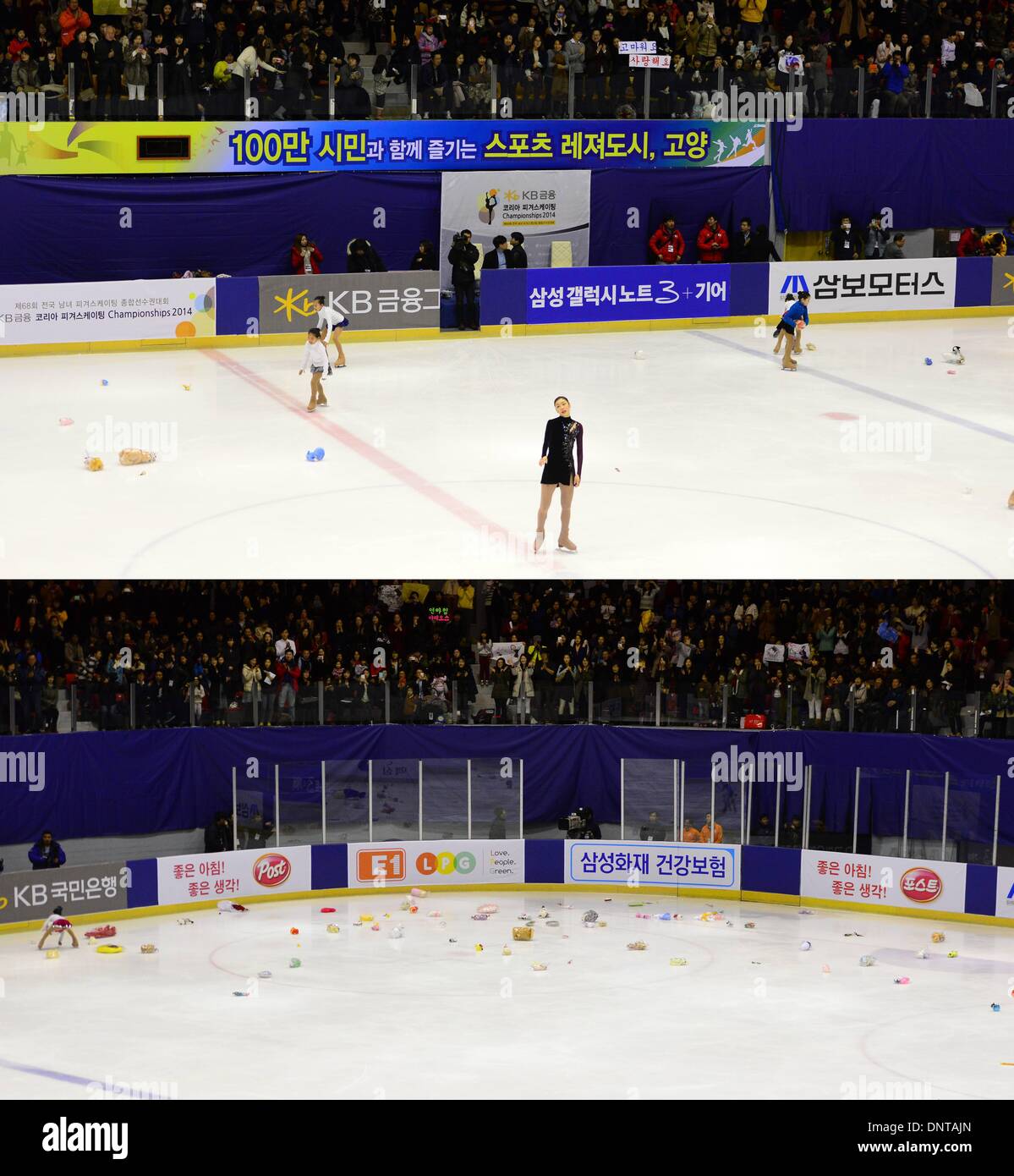 Seoul, South Korea, South Korea. 5th Jan, 2014. South Korean figure