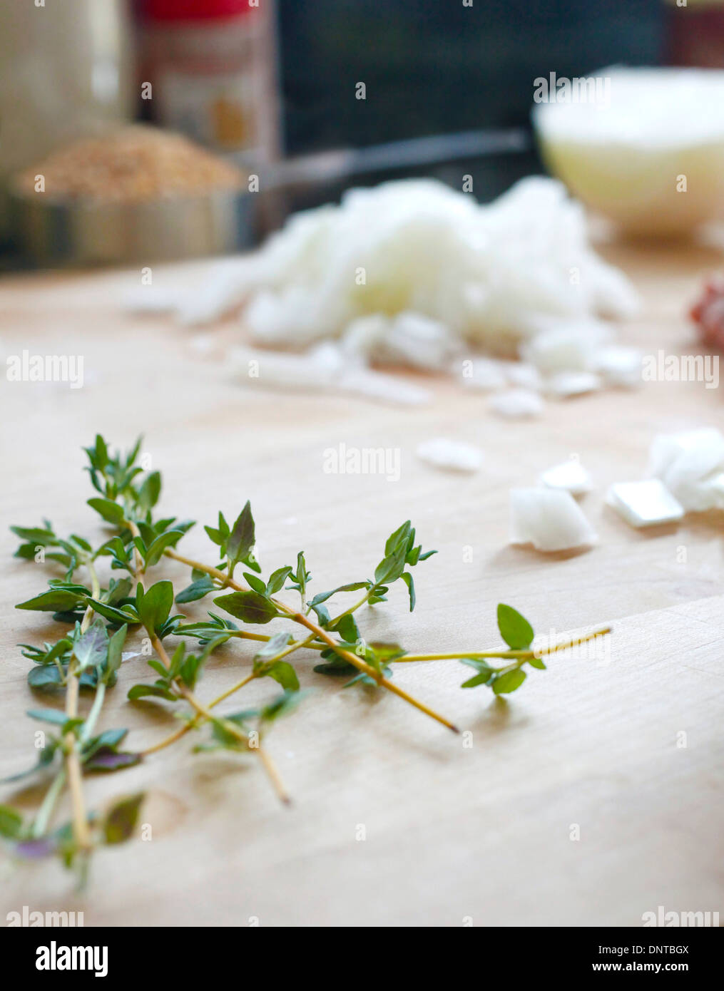 Thyme close up Stock Photo Alamy