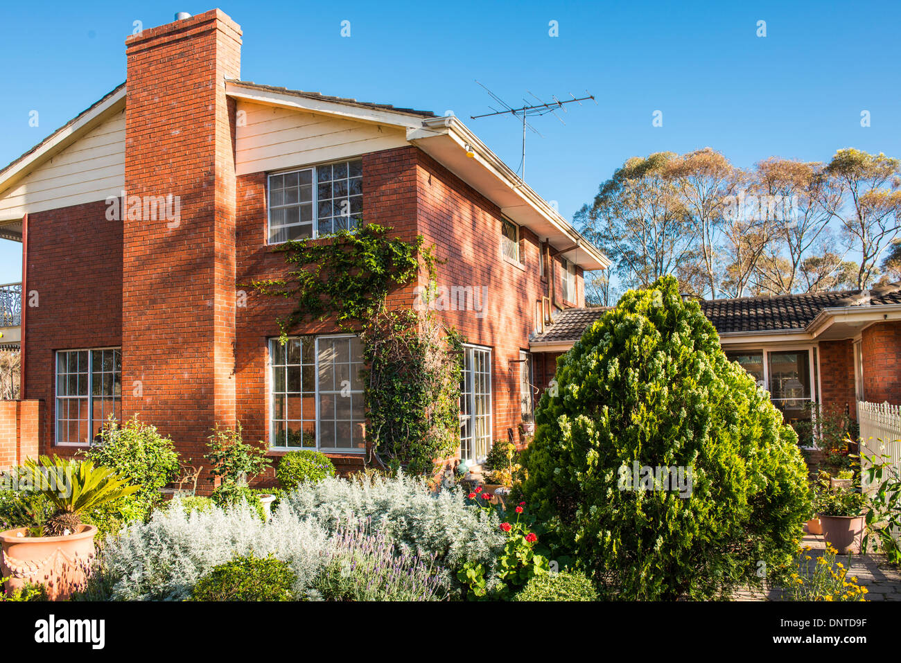Country house in the Australian bush Stock Photo
