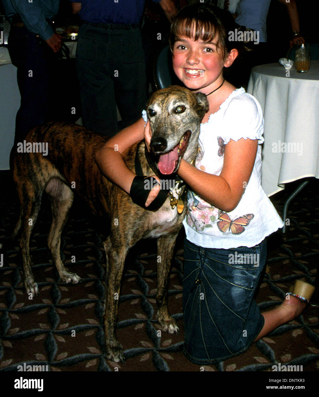 Hotel van nuys hires stock photography and images Alamy