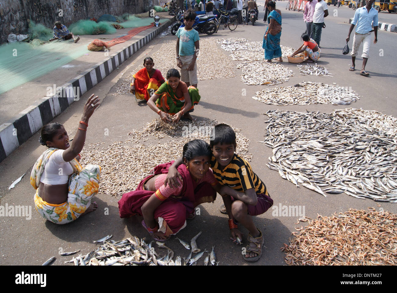 Fisher women dry fish on road. Stock Photo