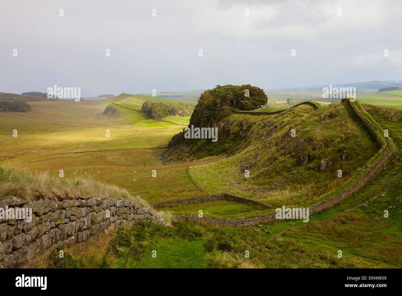 Hadrian's Wall Near Housteads Roman Fort On Hadrian’s Wall National ...